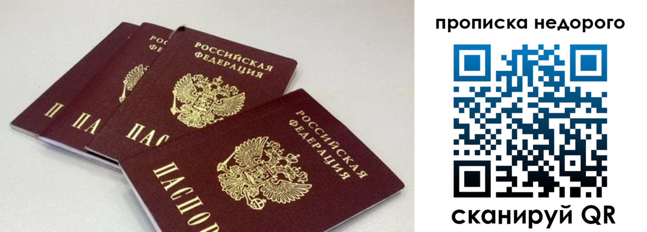 прописка штамп в Домодедово