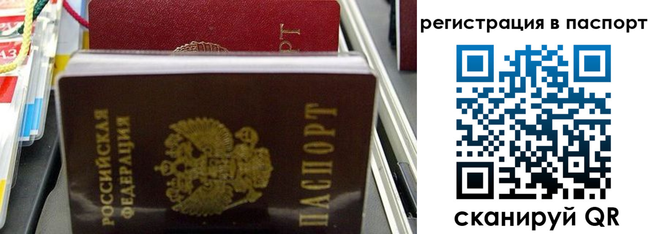 прописка для школы в Домодедово